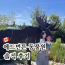 에드먼튼 동물원(Edmonton Valley Zoo) 20개월 아기 방문 후기｜가격·PDF 지도·동물·식당 메뉴 총정리