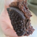 퍼블릭초콜래토리(Public Chocolatory) | 내돈내산(54, 발렌타인데이 선물)