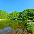 용담 섬바위마트 이미지