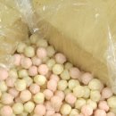 아하키즈어린이집 이미지