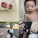 이마트24 신림팔구팔구점 | 미니미 키우기