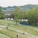 왔다 파크 이미지