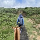 마을안관광코스 14코스 | 제주도 뚜벅이 여행 버스 원데이 투어 당일치기 제주도1번가 동쪽코스 후기