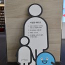 2025 송파책박물관 기획특별전 &#34;책 속에 꽃 핀 사랑&#34; 후기