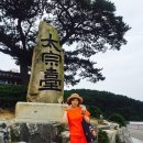 진양장여관 | 부산 모녀여행 ❤️ :: 태종대, 남포물회, 토요코인호텔 부산2호점 후기 ★