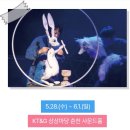 인형극 해를 낚은 할아버지 | 아시아 최대 인형극 축제! 이번주 춘천인형극제 2025 미리보기 (5. 25~6.1 이후 중심)