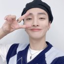 개. 이쁜날 이미지