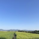 운곡민속식당 | 보리나라학원농장 고창청보리밭 방문 주말 놀거리 고창 명소 국내 여행지 추천