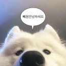 젠틀링 서면 네이버블로그