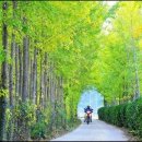 (주)들녘 이미지