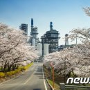 사리울삼거리 이미지