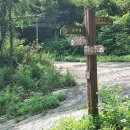 경기둘레길 연천12코스 | 경기둘레길 연천 12코스 고대산 임도길(내산리종점 - 신탄리역)