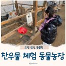 찬들농장 | 찬우물 체험 동물농장 일산동물원 아이랑 함께 가기좋은 곳 가성비갑