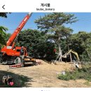 어모로L 네이버블로그