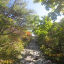 노고단-10 이미지