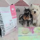 마이펫까까 이미지