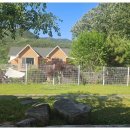 콩밭매는 강아지 | 가족과 함께한 청양애견펜션, 콩밭매는 댕댕이 펜션 후기