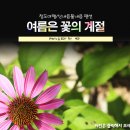 물내음펜션 이미지