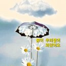 소이님 방글방글 이미지