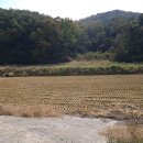 문평면사무소 이미지