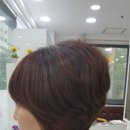 가즈미용실 이미지
