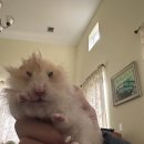 아,귀여워 이미지