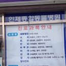 인제종합동물병원 네이버블로그