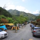 백년펜션 야영장 이미지