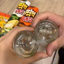 성주미니펜션 | 대구근교펜션 가족여행추천 수영장이있는ㅡ성주참조은펜션