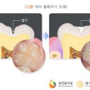 효치과의원 이미지