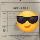 캐터리 페르마타 이미지