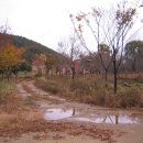 시미1리 이미지