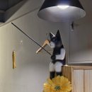 정미소문화국수 이미지