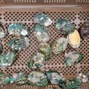 한진모텔 이미지