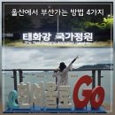 하삼동울산대 | 울산에서 부산 가는 방법 4가지: 동해선 KTX 시외버스 1224번 비교