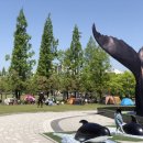 그늘막36 이미지