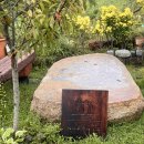 해랑나예 이미지