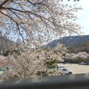 중담1주차장 이미지