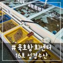 동해시-60 | # - 동해 묵호 수산시장, 묵호항 활어회센터 '성경 수산' 내돈내산 후기!