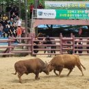 소3-29 경남에나뉴스