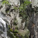 야호캠프 이미지