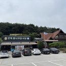 아일랜드리솜 | 1박2일 국내 가족여행 - 서해안바닷가 안면도 아일랜드리솜 후기 (충남 태안)