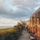 올랑고디또 이미지