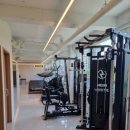 블랙맘바짐 이미지