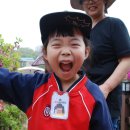 새동산어린이집 이미지