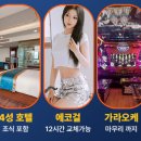에코풀