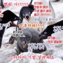 덕진수영장 화장실 이미지