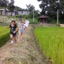 행복한지역아동센터 이미지