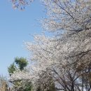 선너머공원 이미지