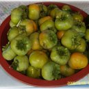 남도의 향기 이미지